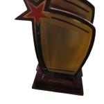 sheild2